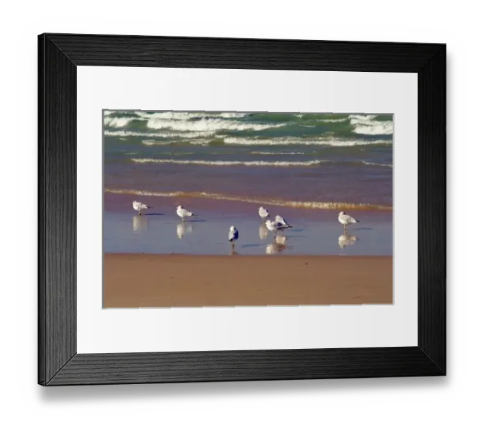 Framed Print : USA, Indiana, Indiana Dunes State Park Framed Print : USA, Indiana, Indiana Dunes State Park