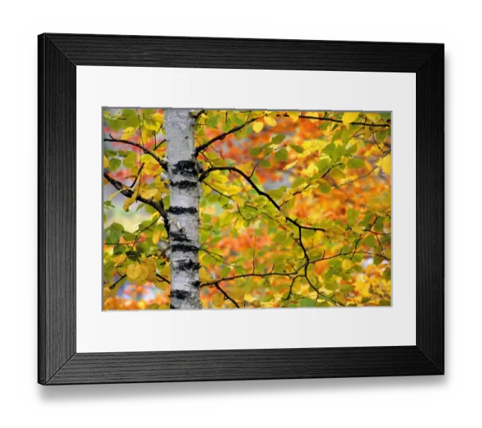 Framed Print : USA, North America, Michigan