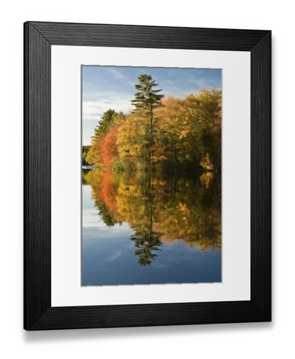 Framed Print : USA, Maine. Fall colors on the Megunticook River