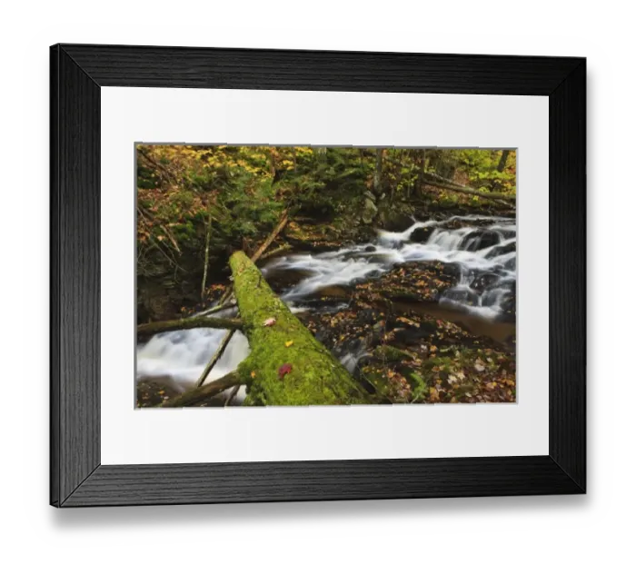 Framed Print : USA, North America, Maine Framed Print : USA, North America, Maine