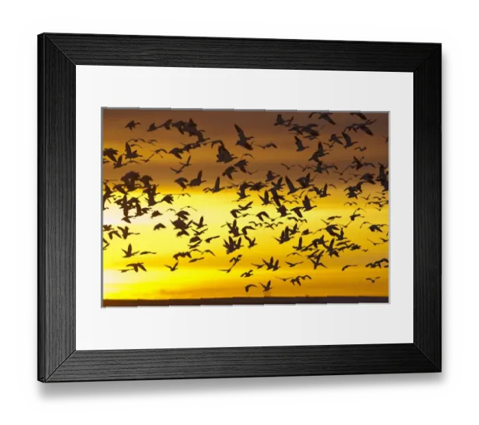 Framed Print : USA, North America, Montana Framed Print : USA, North America, Montana