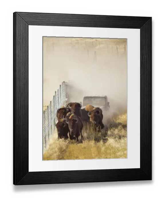 Framed Print : USA, North America, Montana Framed Print : USA, North America, Montana