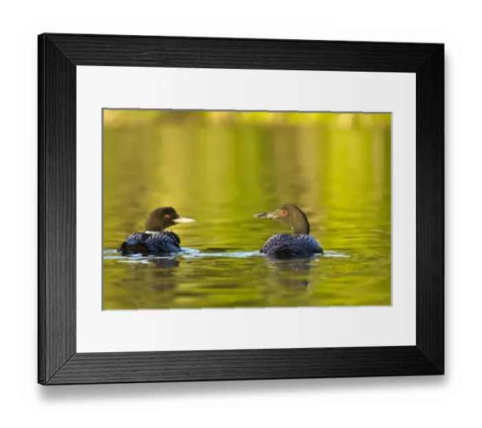 Framed Print : USA, North America, Montana Framed Print : USA, North America, Montana