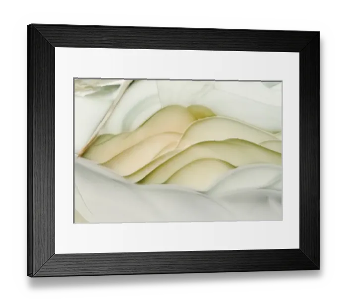 Framed Print : USA, Idaho. Close-up of Willow Creek Jasper stone