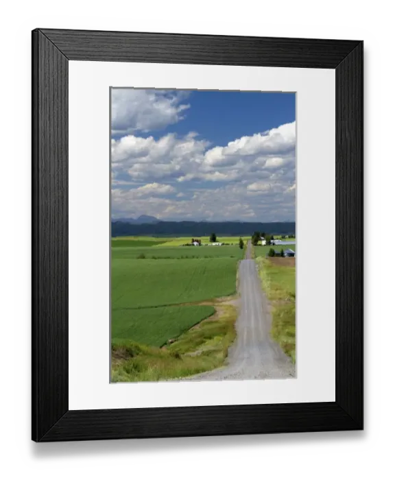 Framed Print : Wheat field and rural road near Ashton, Idaho, USA