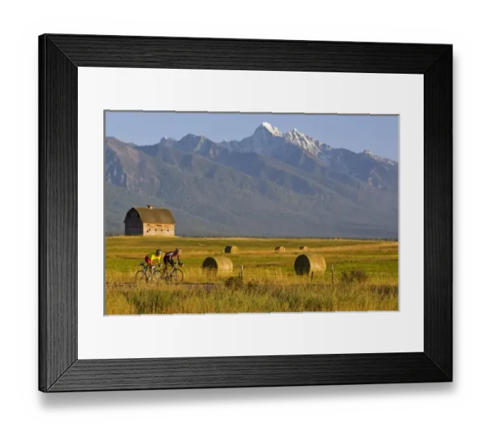 Framed Print : Road bicyclists race down back country road in the Mission Valley of Montana (MR) Framed Print : Road bicyclists race down back country road in the Mission Valley of Montana (MR)