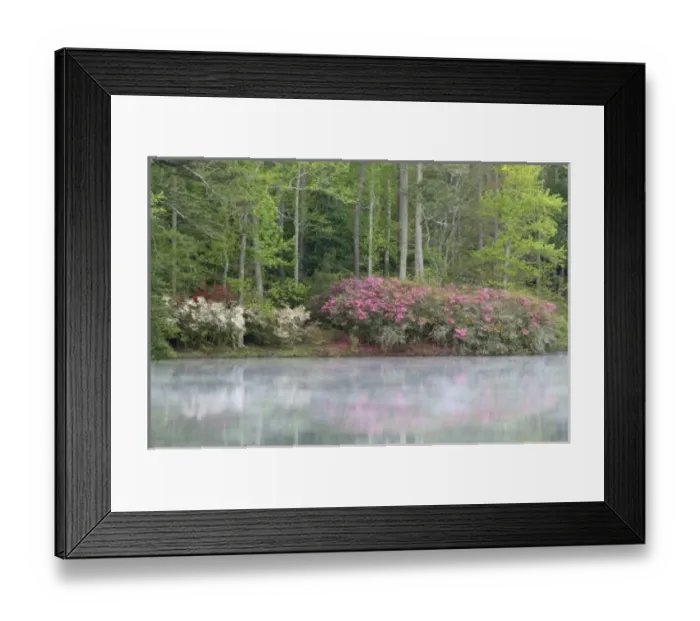 Framed Print : USA, North America, Georgia Framed Print : USA, North America, Georgia