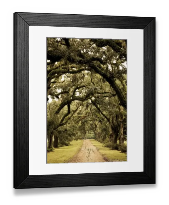 Framed Print : USA, North America, Louisiana Framed Print : USA, North America, Louisiana