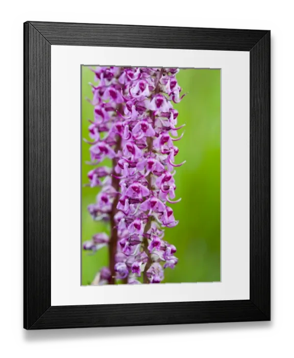 Framed Print : USA, North America, Idaho Framed Print : USA, North America, Idaho