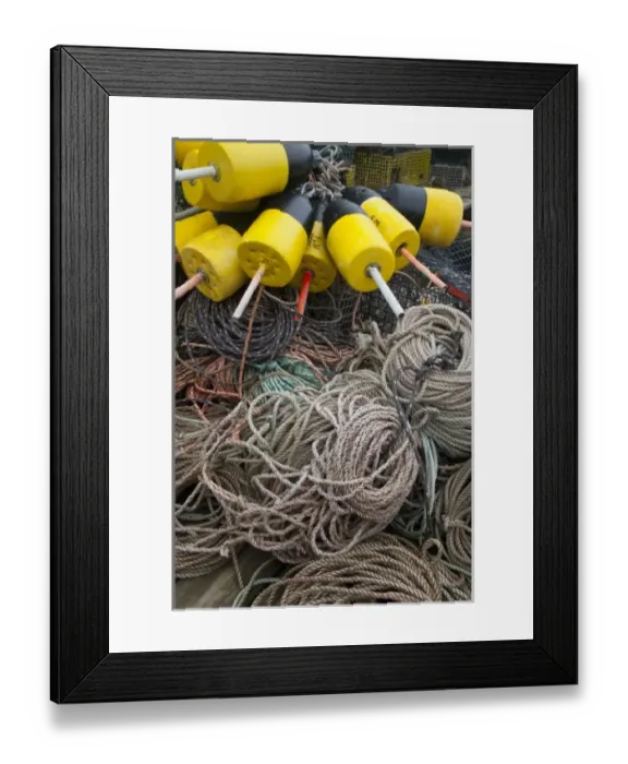 Framed Print : USA, North America, Maine