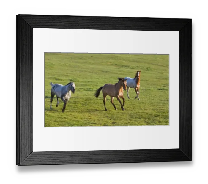 Framed Print : USA, North America, Montana