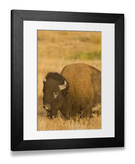 Framed Print : USA, North America, Montana Framed Print : USA, North America, Montana