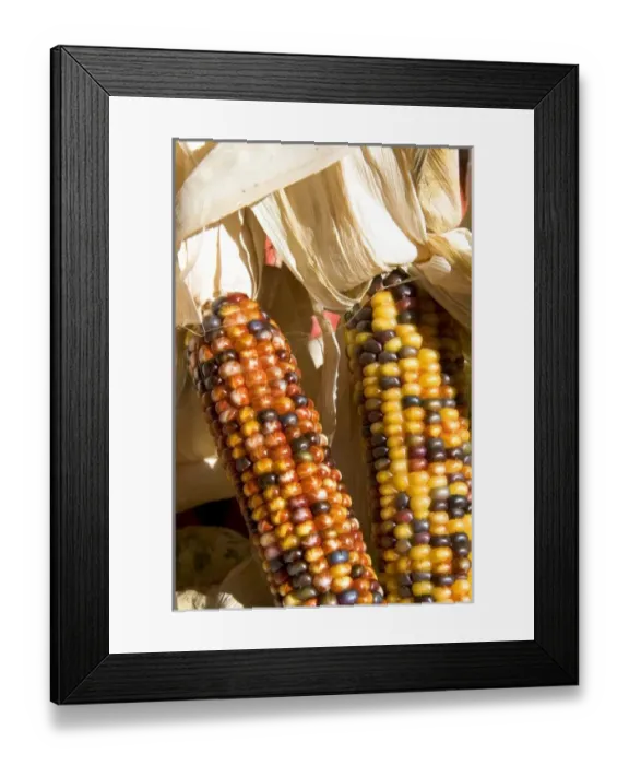 Framed Print : USA, North America, Idaho Framed Print : USA, North America, Idaho