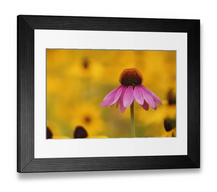 Framed Print : USA, North America, Kentucky Framed Print : USA, North America, Kentucky