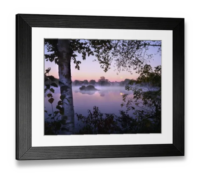 Framed Print : USA, Maine, Pittsfield. Moonset at sunrise with fog rising over Mill Pond Framed Print : USA, Maine, Pittsfield. Moonset at sunrise with fog rising over Mill Pond