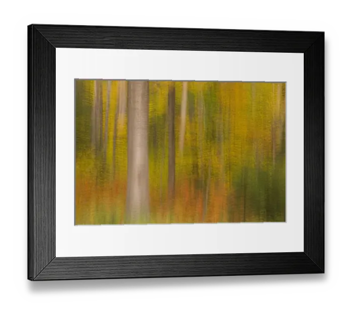 Framed Print : USA, New Hampshire, Livermore, White Mountain National Forest, multiple expsoure