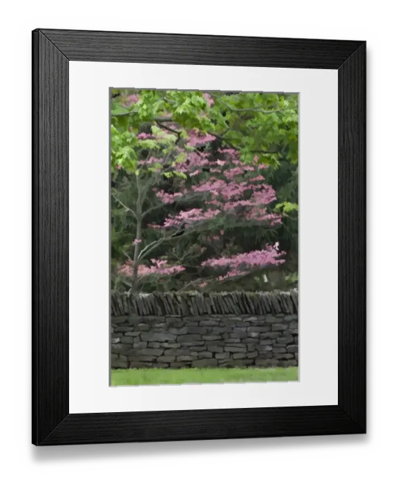 Framed Print : Stone wall and pink dogwood tree, Lexington, Kentucky Framed Print : Stone wall and pink dogwood tree, Lexington, Kentucky