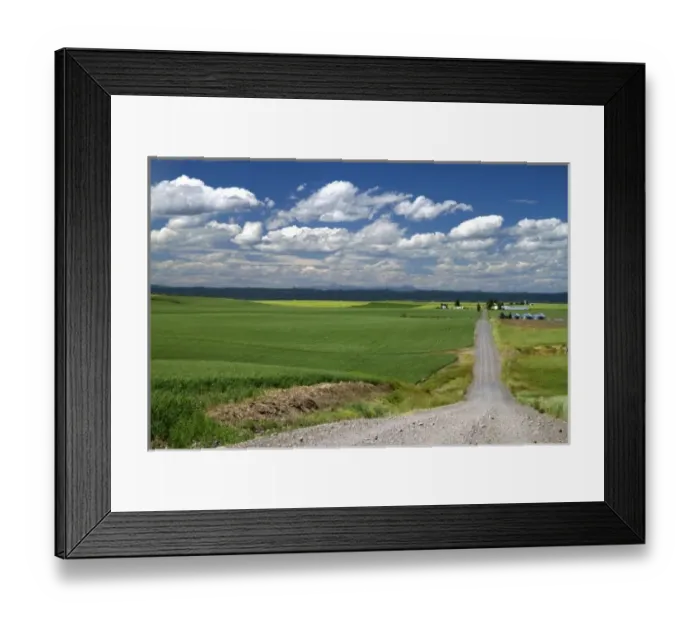 Framed Print : Wheat field and rural road near Ashton, Idaho, USA Framed Print : Wheat field and rural road near Ashton, Idaho, USA