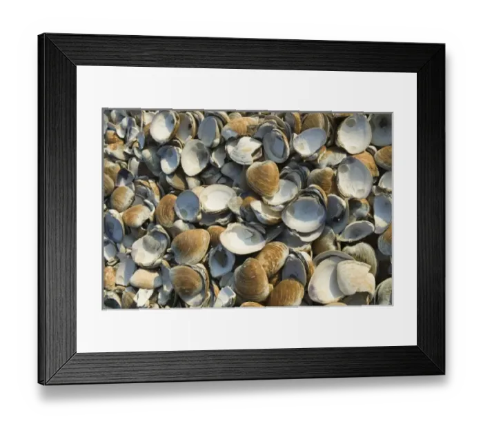 Framed Print : USA, North America, Massachusetts Framed Print : USA, North America, Massachusetts