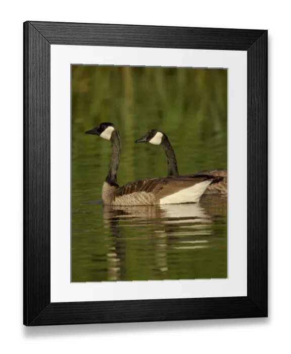 Framed Print : USA, North America, Nevada Framed Print : USA, North America, Nevada