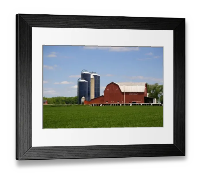 Framed Print : Farm surrounded by green unripe wheat at St. Louis, Michigan. PR