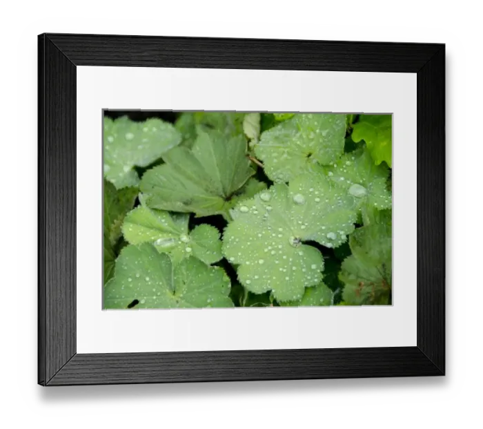 Framed Print : USA, North America, Massachusetts Framed Print : USA, North America, Massachusetts