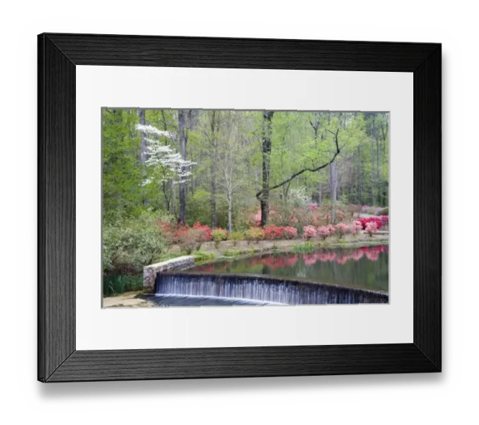 Framed Print : USA, North America, Georgia Framed Print : USA, North America, Georgia