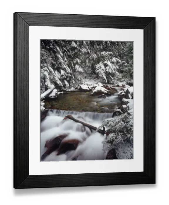 Framed Print : Avalanche gorge with fresh snowfall in Glacier National Park, Montana, USA Framed Print : Avalanche gorge with fresh snowfall in Glacier National Park, Montana, USA