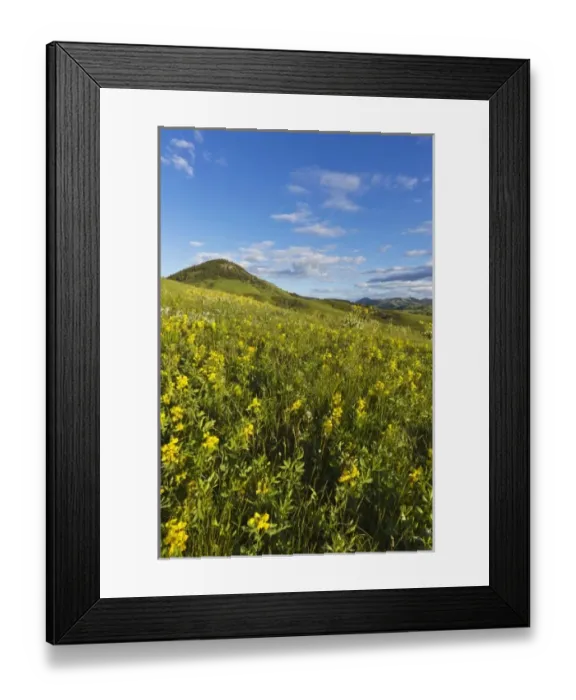 Framed Print : USA, North America, Montana Framed Print : USA, North America, Montana