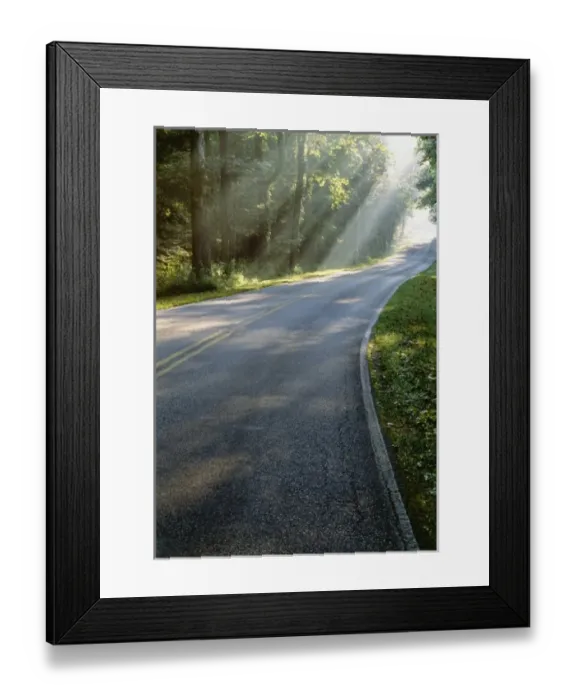 Framed Print : Sunrise through fog alongside Green River Ferry Road, Mammoth Cave National Park Framed Print : Sunrise through fog alongside Green River Ferry Road, Mammoth Cave National Park