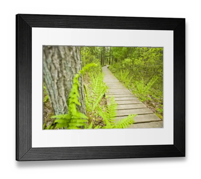 Framed Print : USA, North America, Massachusetts Framed Print : USA, North America, Massachusetts