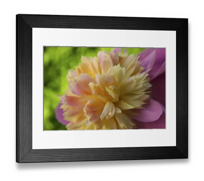Framed Print : USA, North America, Massachusetts Framed Print : USA, North America, Massachusetts