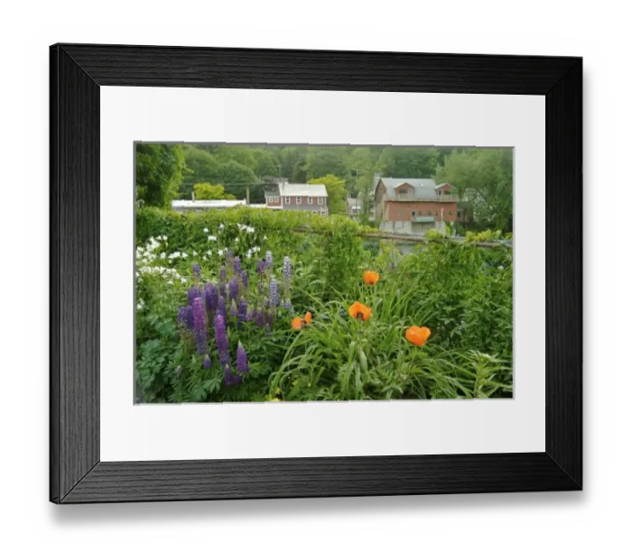 Framed Print : USA, North America, Massachusetts Framed Print : USA, North America, Massachusetts