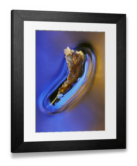 Framed Print : USA, New Hampshire, Fall leaf floating in stream in reflection