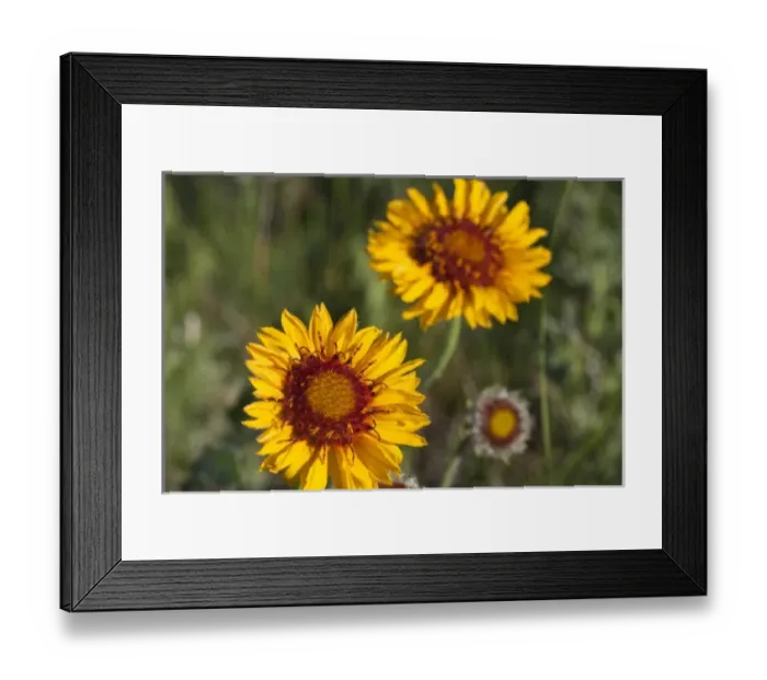 Framed Print : USA, North America, Montana Framed Print : USA, North America, Montana