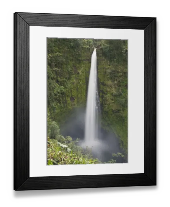 Framed Print : USA. Hawaii. Akaka Falls on the Big Island of Hawaii Framed Print : USA. Hawaii. Akaka Falls on the Big Island of Hawaii