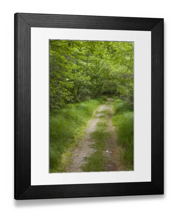 Framed Print : USA, North America, Maine Framed Print : USA, North America, Maine