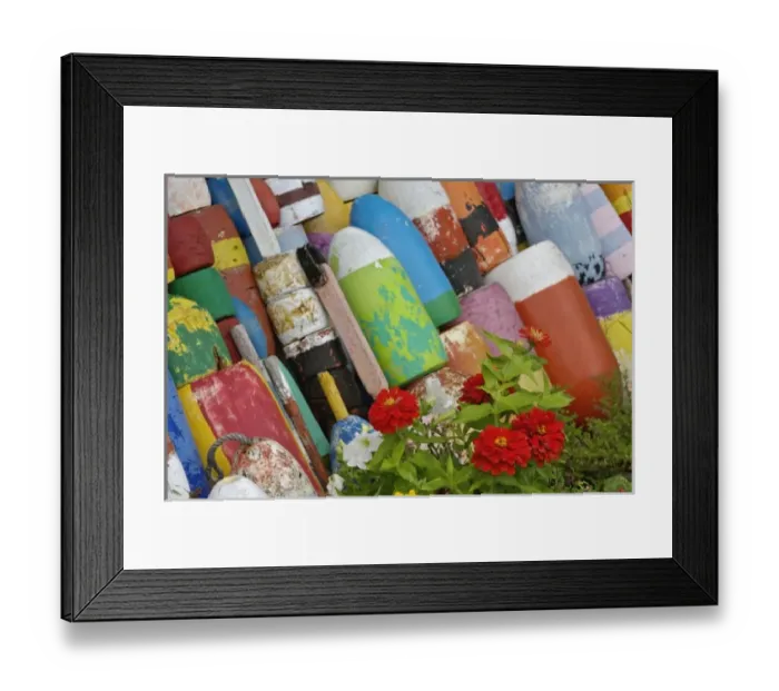 Framed Print : Colorful buoys on wall, Rockport, Massachusetts, Cape Ann Framed Print : Colorful buoys on wall, Rockport, Massachusetts, Cape Ann