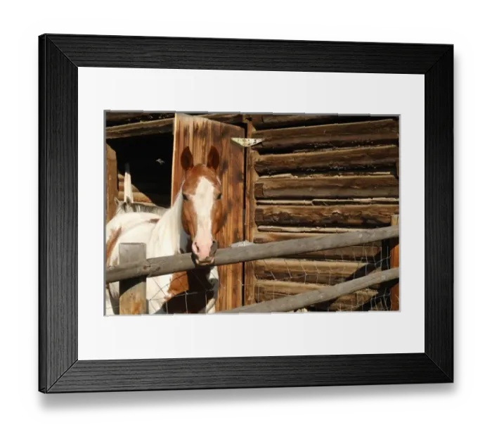 Framed Print : USA, Salmon, Idaho, Horses at Log Barn Framed Print : USA, Salmon, Idaho, Horses at Log Barn