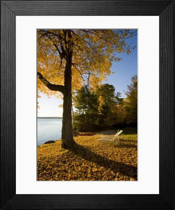 Framed Print : The lawn at Oliver Lodge on Lake Winnipesauke in Meredith, New Hampshire Framed Print : The lawn at Oliver Lodge on Lake Winnipesauke in Meredith, New Hampshire
