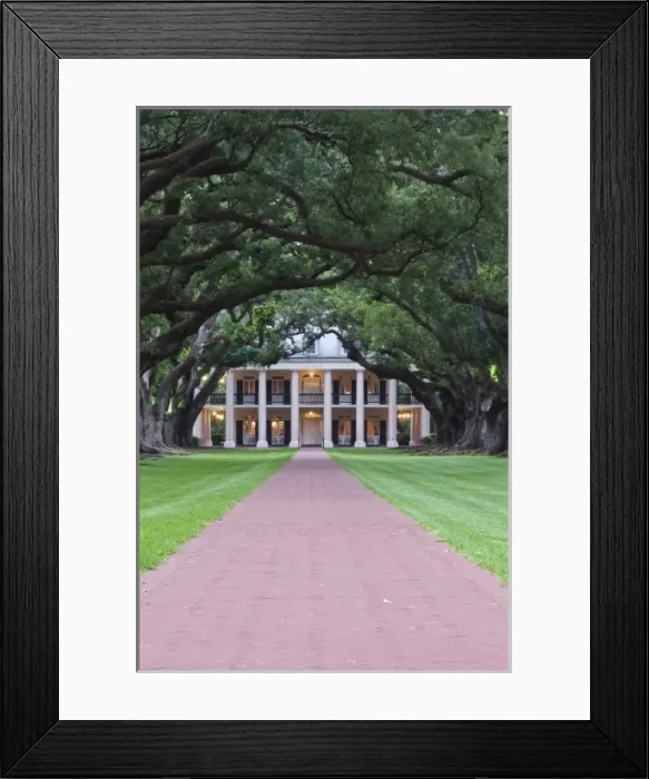 Framed Print : USA, North America, Louisiana