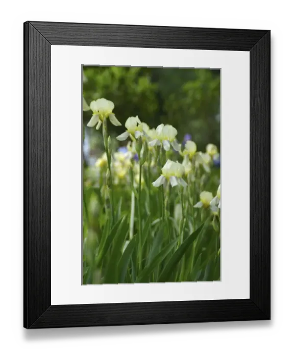 Framed Print : USA, North America, Massachusetts Framed Print : USA, North America, Massachusetts
