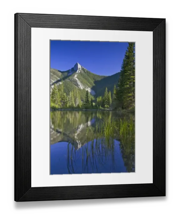 Framed Print : Wind Mountain reflects in a beaver pond in the Lewis and Clark National Forest of Montana