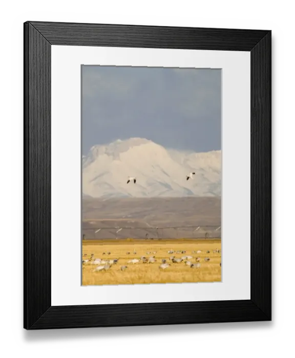 Framed Print : USA, North America, Montana Framed Print : USA, North America, Montana
