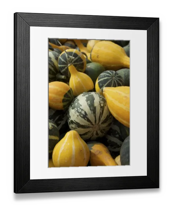 Framed Print : USA, North America, Massachusetts Framed Print : USA, North America, Massachusetts