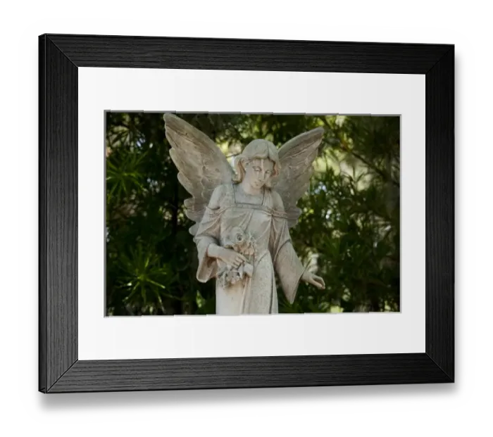 Framed Print : USA, North America, Georgia Framed Print : USA, North America, Georgia