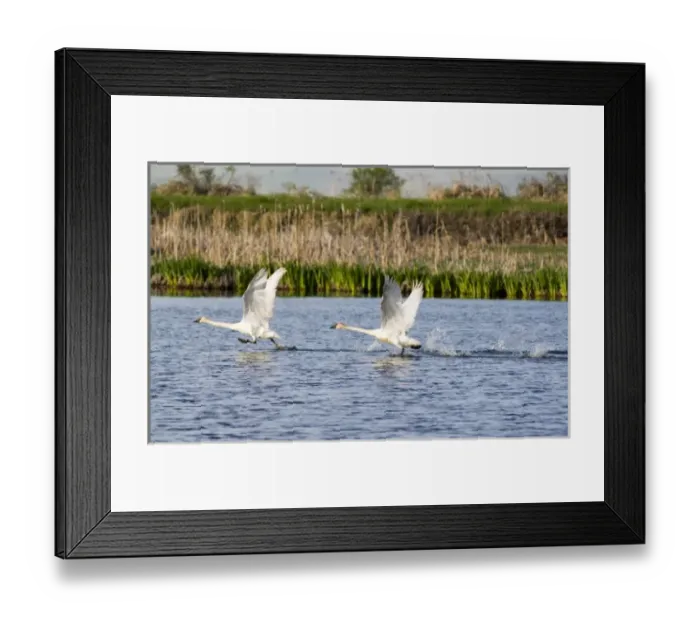 Framed Print : USA, North America, Montana Framed Print : USA, North America, Montana