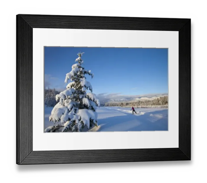 Framed Print : Cross country skiing at Whitefish, Montana, USA