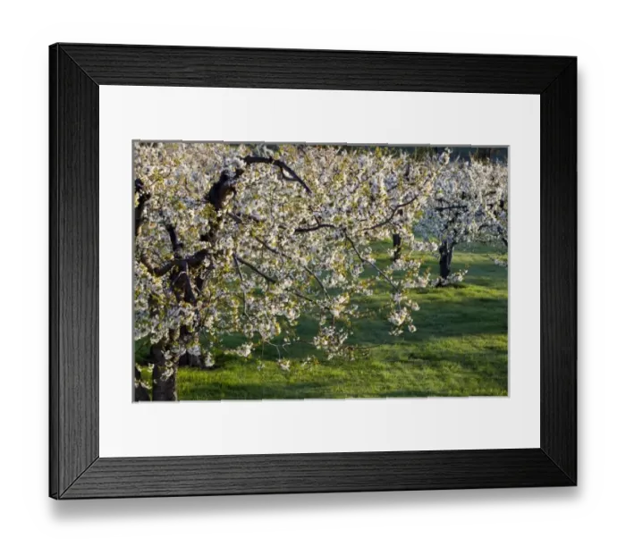 Framed Print : USA, North America, Montana Framed Print : USA, North America, Montana