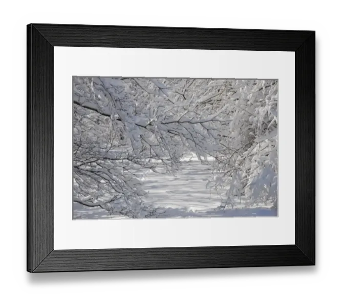 Framed Print : USA, Indianapolis, Indiana, Eagle Creek City Park Framed Print : USA, Indianapolis, Indiana, Eagle Creek City Park